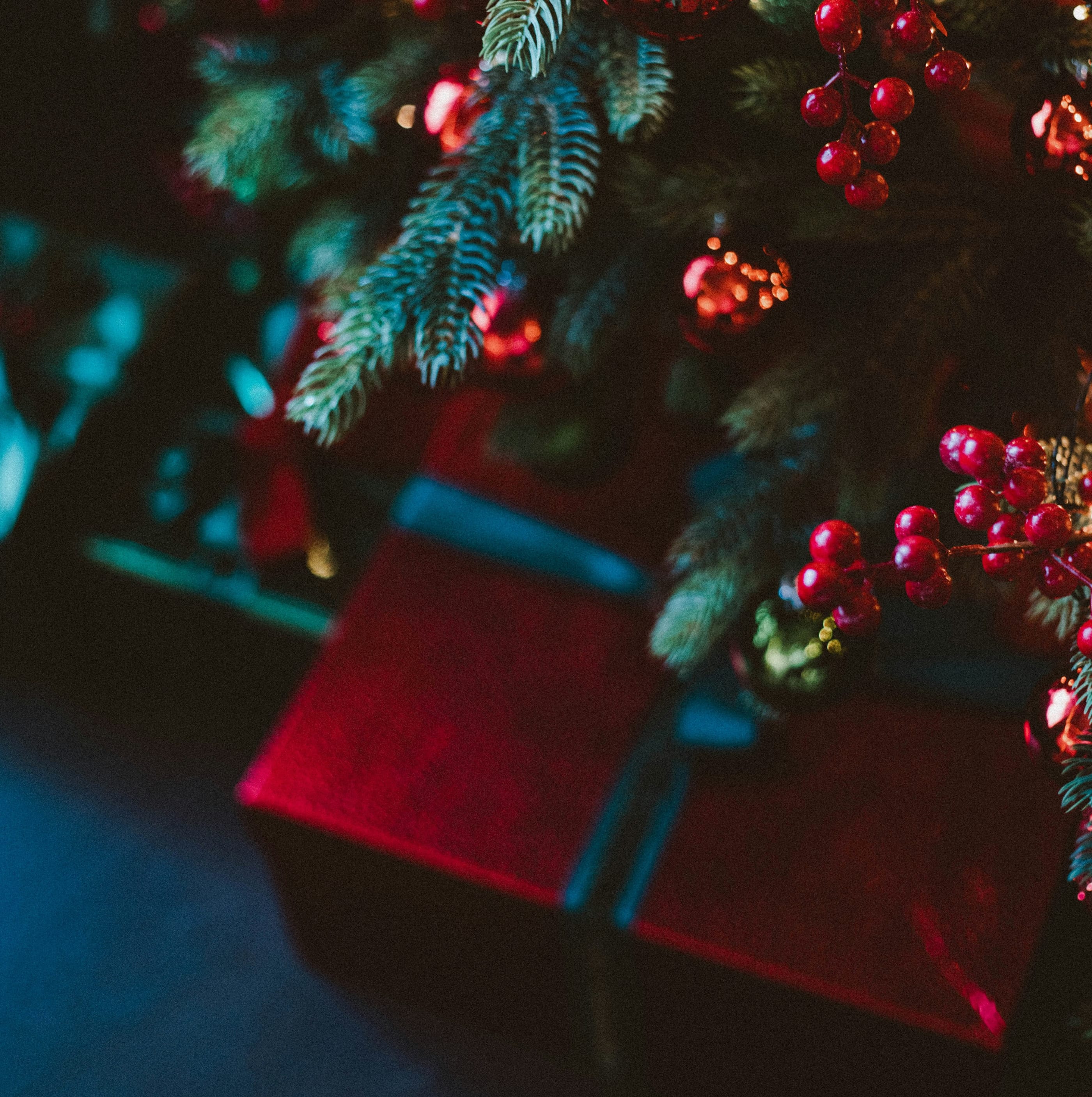 Season's Greetings feature image